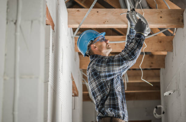 Best Local Electrician Companies  in Green Oaks, IL